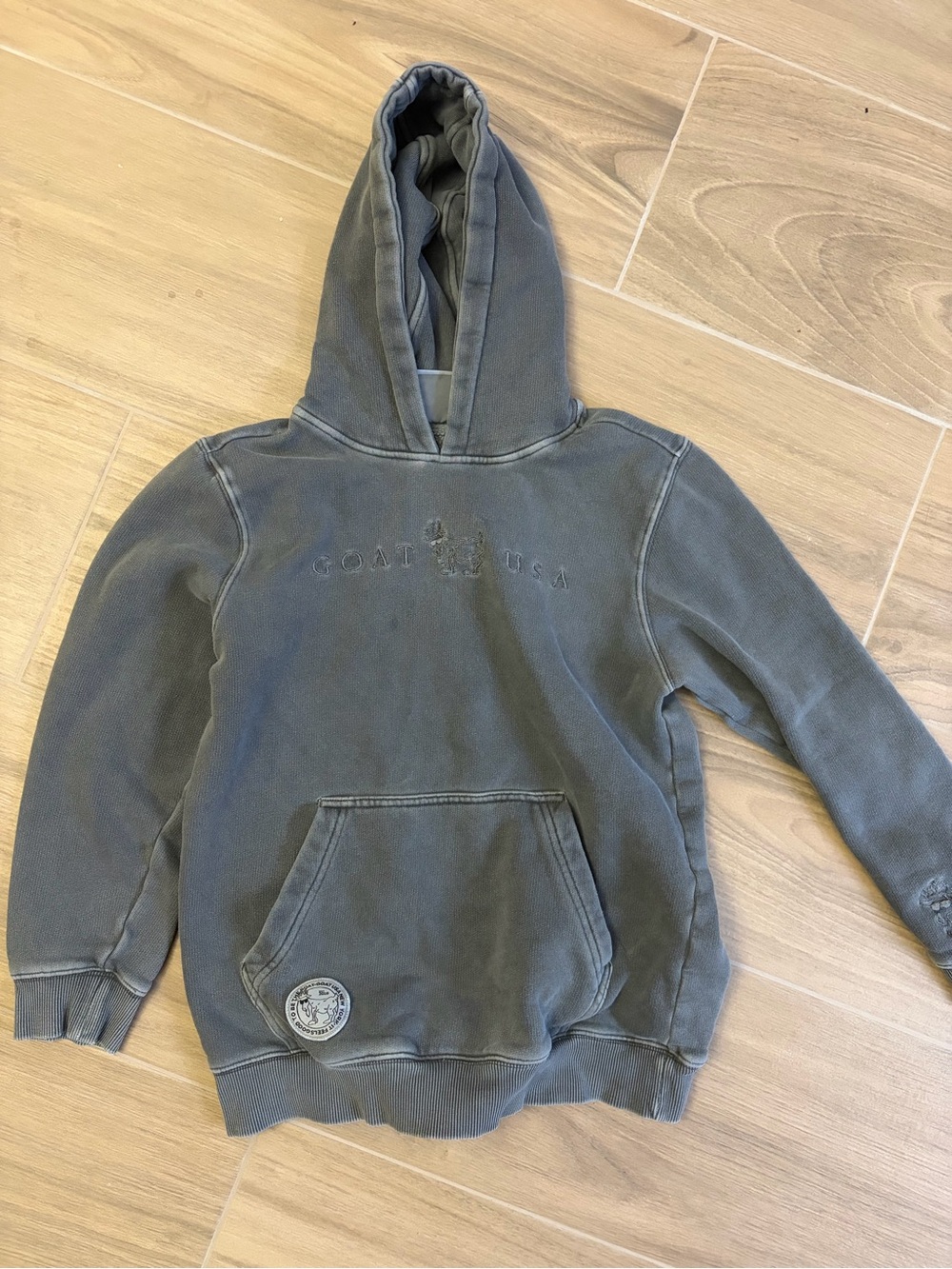 Kids Goat USA Hooded Sweatshirt in Faded Green